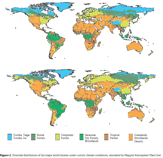 World Map