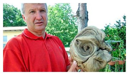 Click to enlarge Alien Head