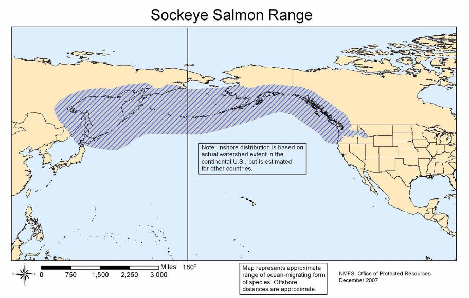 Sockeye Range