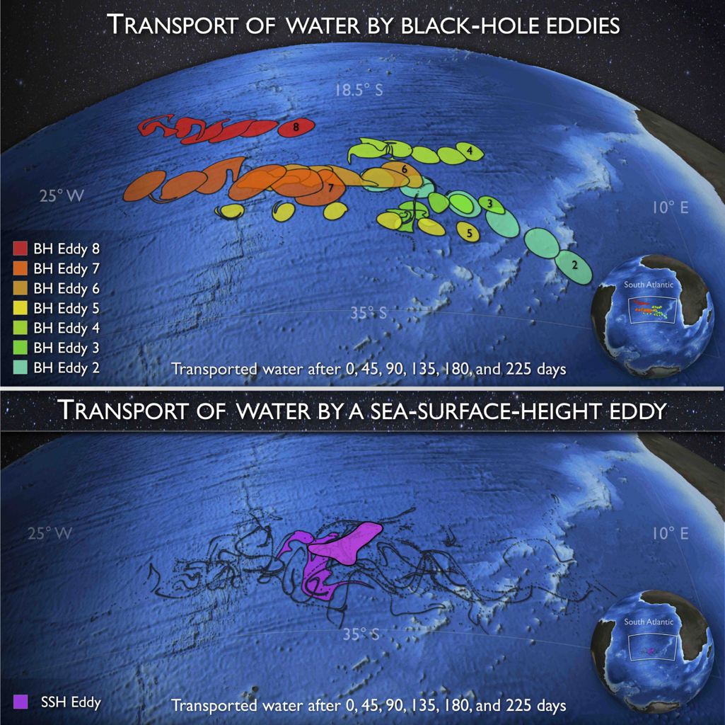black-hole ocean eddies