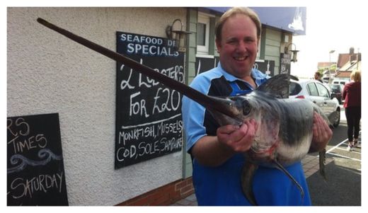 Swordfish
