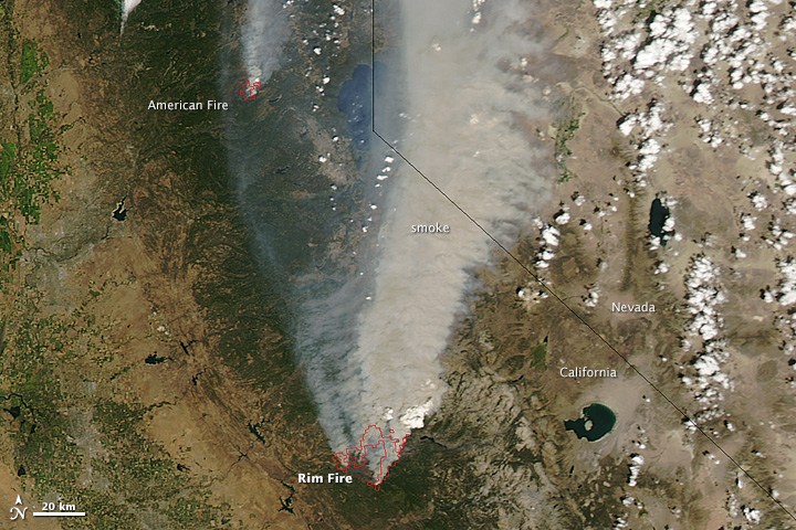 rim fire