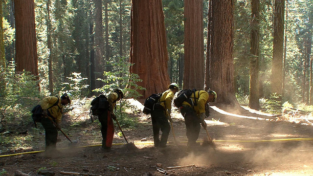 National Park Service fire crew