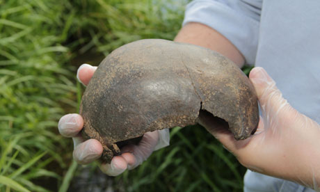 Ancient Skull