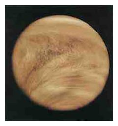 Venus