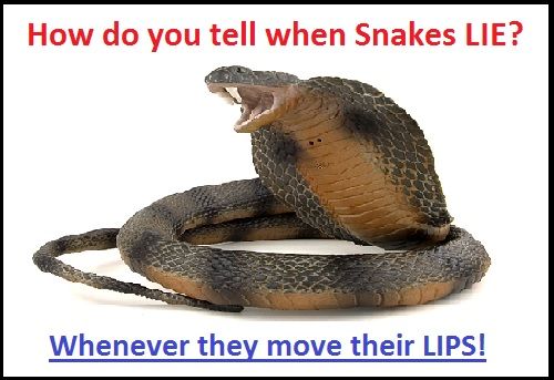 Lying snake