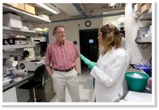 Click to enlarge gut bacteria research