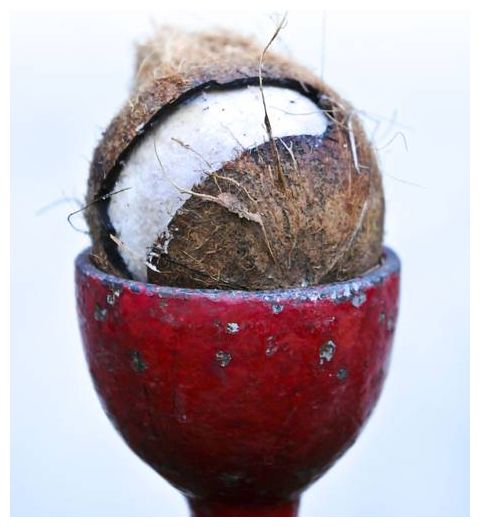 Voodoo Coconut