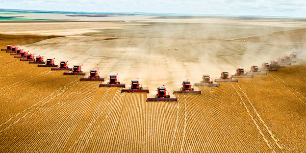 Big agriculture farm