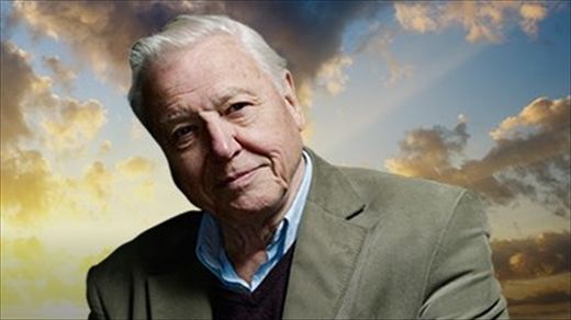 Click to enlarge David Attenborough