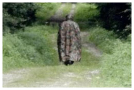 Mysterious figure