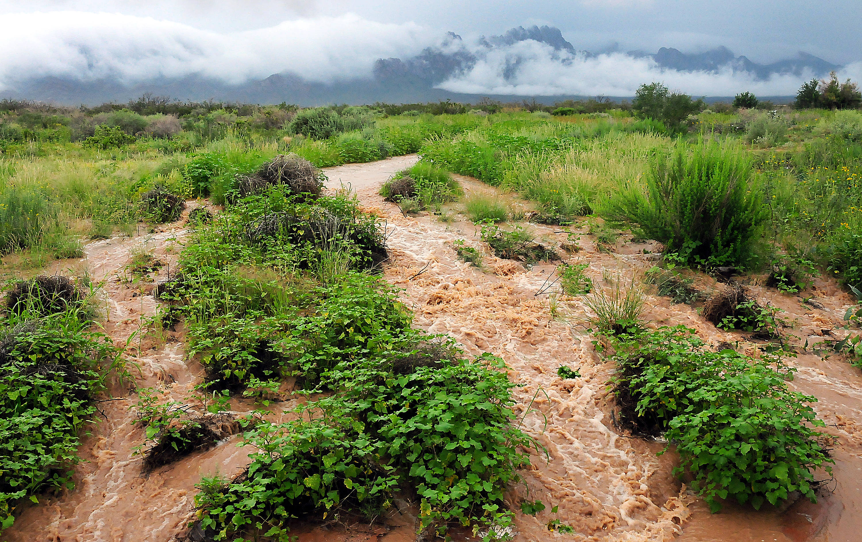 Click to enlarge Flooding New Mexico