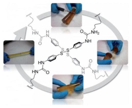 Click to enlarge Elastomer