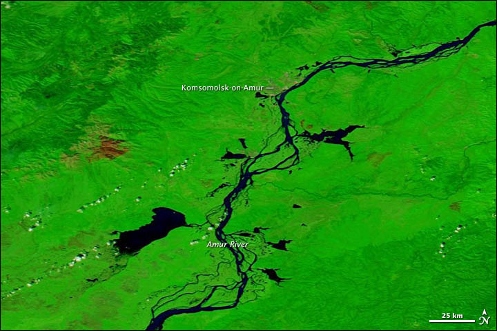 Click to enlarge Image