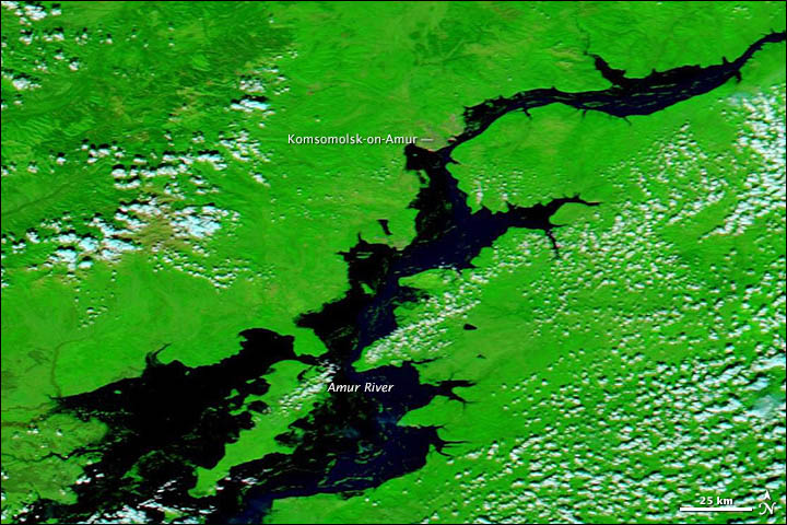Click to enlarge Image