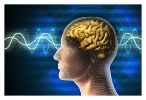 Brain Waves