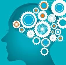 brain research decisions