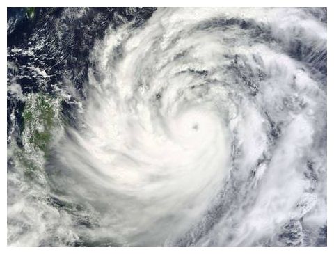 Click to enlarge Usagi