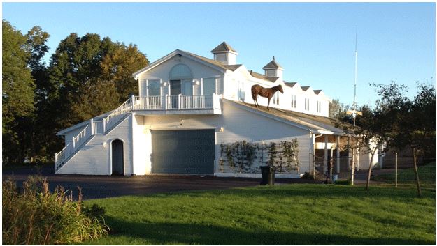 Click to enlarge Horse on Roof