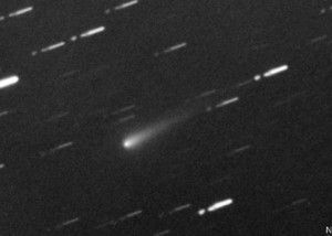 ISON