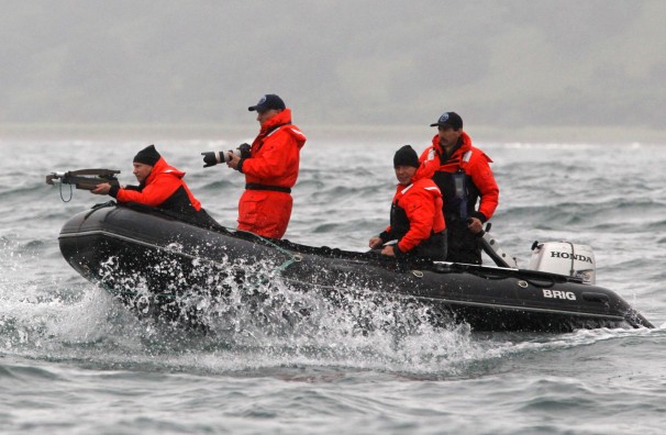 Putin whale hunting