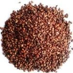 grape seed