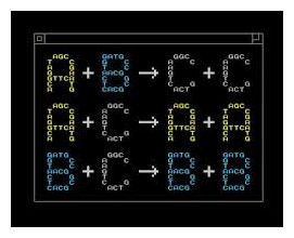 Programming Language