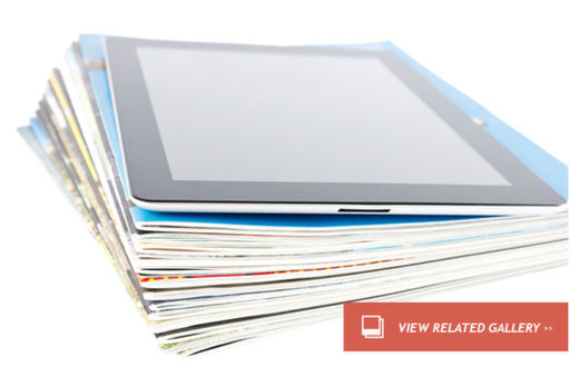 Click to enlarge Fake Documents