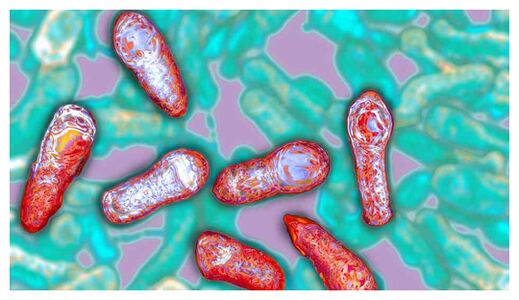 Botulism Toxin
