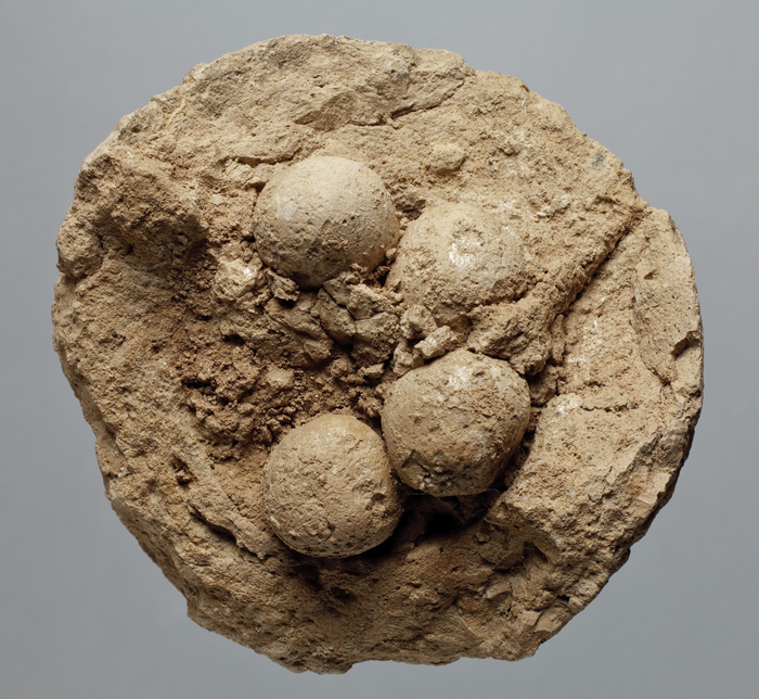 Click to enlarge Prehistoric Code_1
