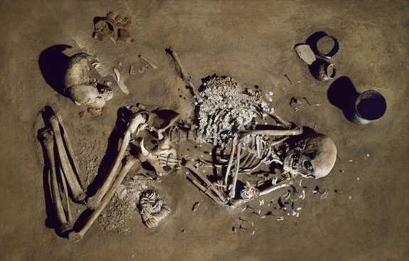 Click to enlarge Skeletal Fossil