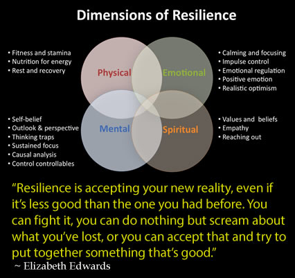 Click to enlarge Resilience