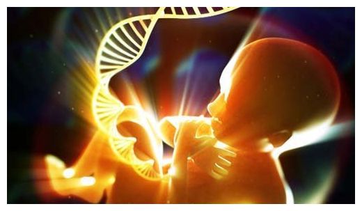 DNA
