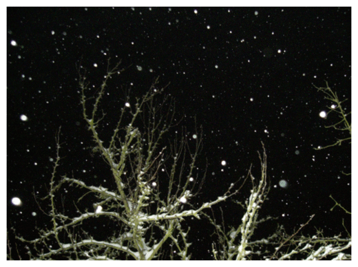  Snow Falling