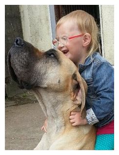 Epilepsy and Great Dane_3
