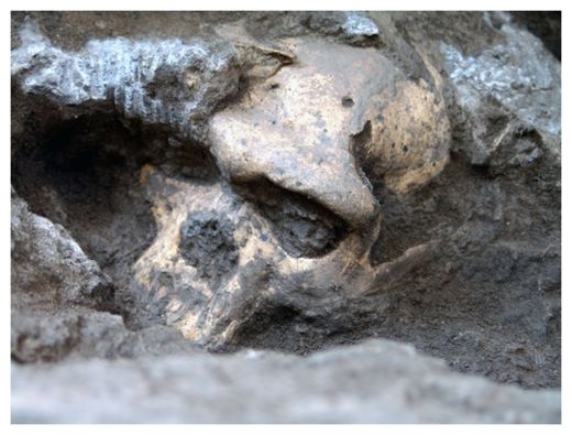 Click to enlarge Skull