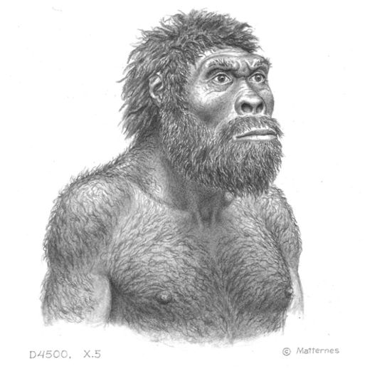 Click to enlarge Skull 5