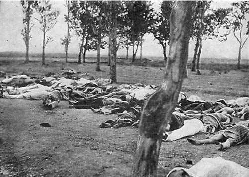 Armenian Genocide_1