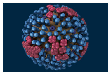 Flu Virus