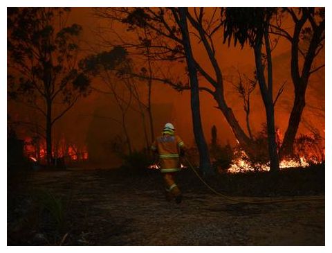 Bush Fire