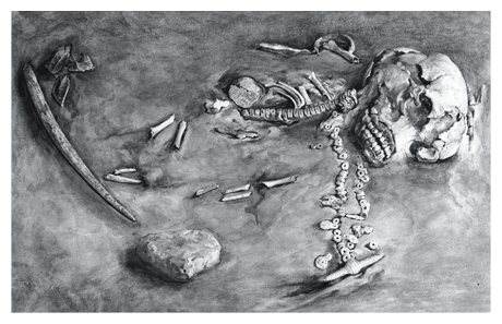 Ancient Bones
