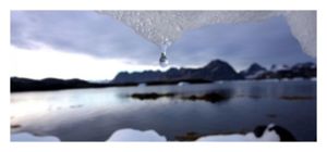 Iceage
