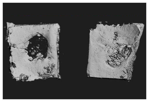 Click to enlarge Bio Patch