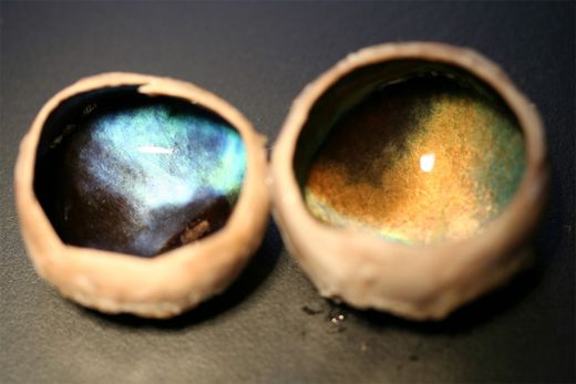Click to enlarge reindeer eyes
