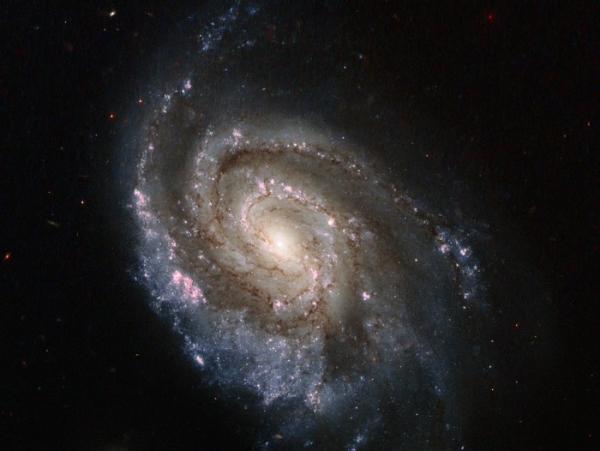 Supernova