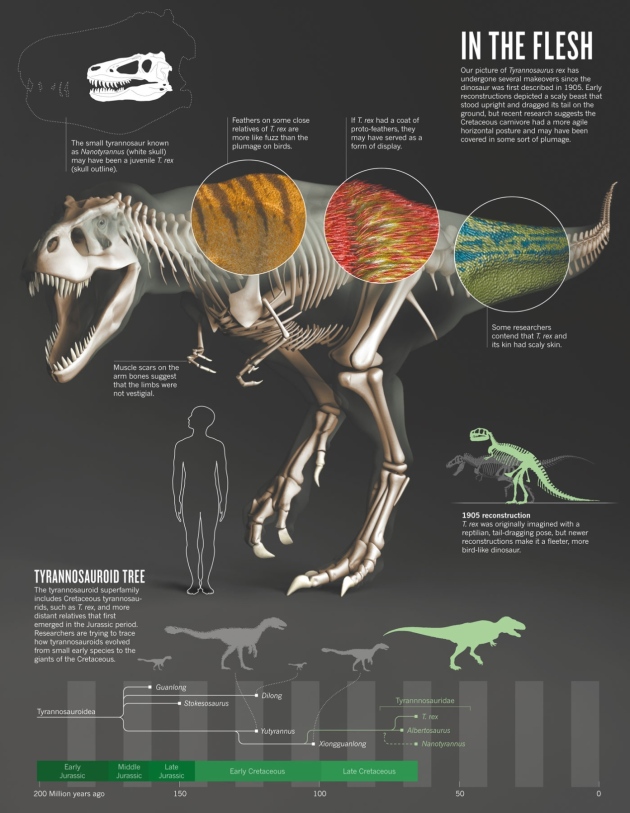 T. rex family tree