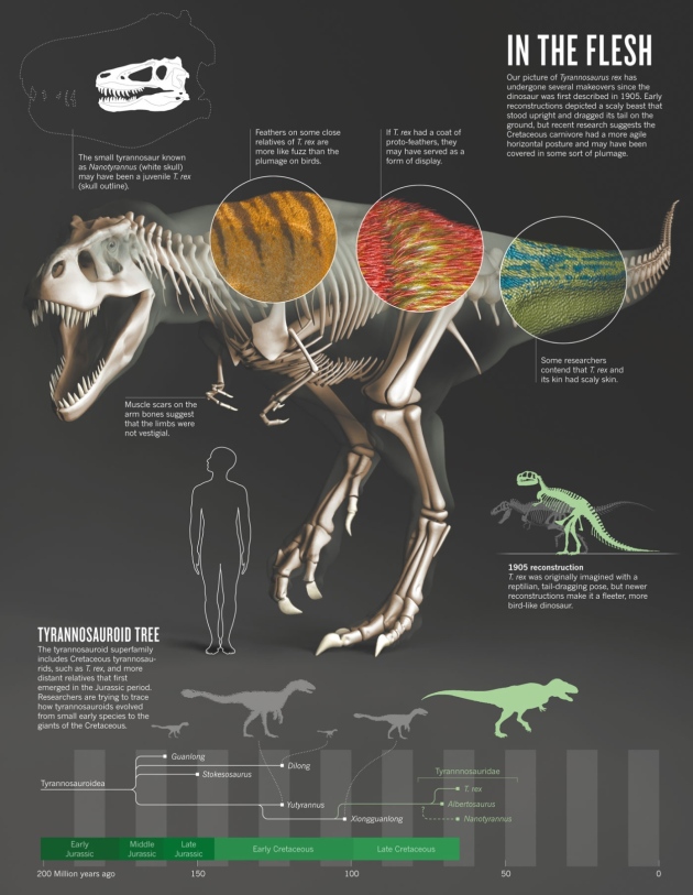 Click to enlarge T. rex family tree