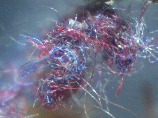 Fibre
