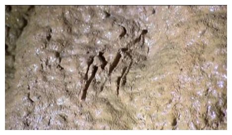 Iceage Bones