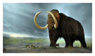 Click to enlarge Mammoth